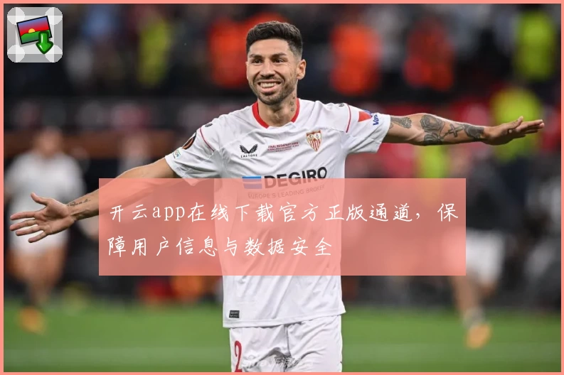 开云app在线下载官方正版通道，保障用户信息与数据安全