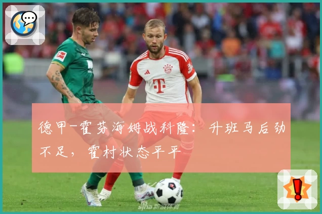 德甲-霍芬海姆战科隆：升班马后劲不足，霍村状态平平