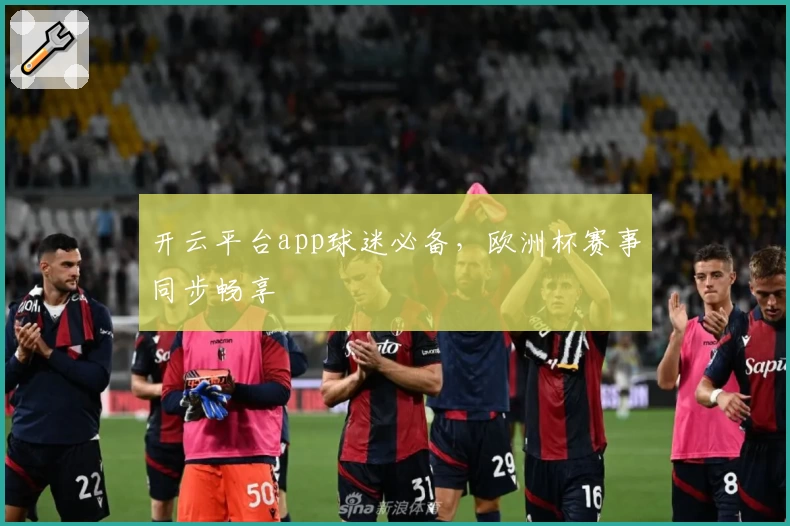 开云平台app球迷必备，欧洲杯赛事同步畅享